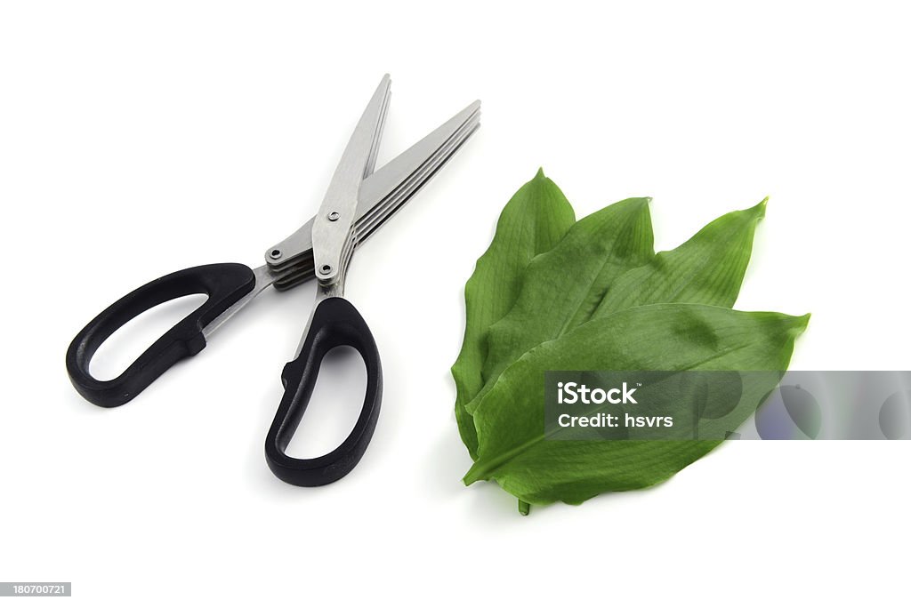 herb scissors and leaves of wild garlic (Allium ursinum) Allium Flower Stock Photo