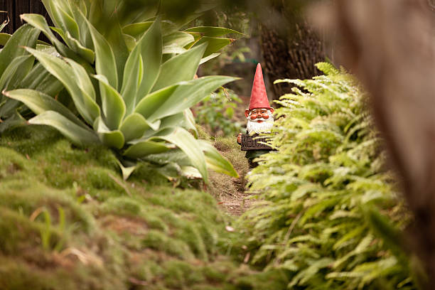 Garden Gnome garden gnome goblin stock pictures, royalty-free photos & images