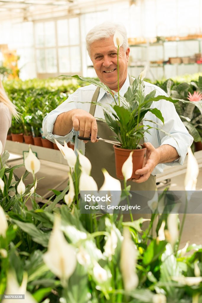 Senior travaillant dans fleuriste serre - Photo de Adulte libre de droits