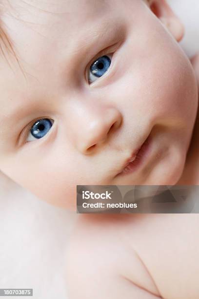 아기 0-11 개월에 대한 스톡 사진 및 기타 이미지 - 0-11 개월, 2-5 개월, 건강한 생활방식