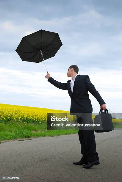 Empresário Com Equipe Financeira Catástrofe - Fotografias de stock e mais imagens de Acidentes e Desastres - Acidentes e Desastres, Acordo, Adulto