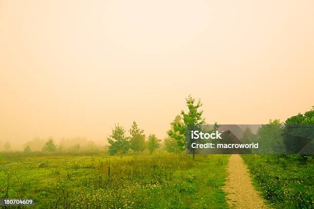 Niebla Sobre La Lea Foto de stock y más banco de imágenes de Amanecer - Amanecer, Camino, Campo - Tierra cultivada