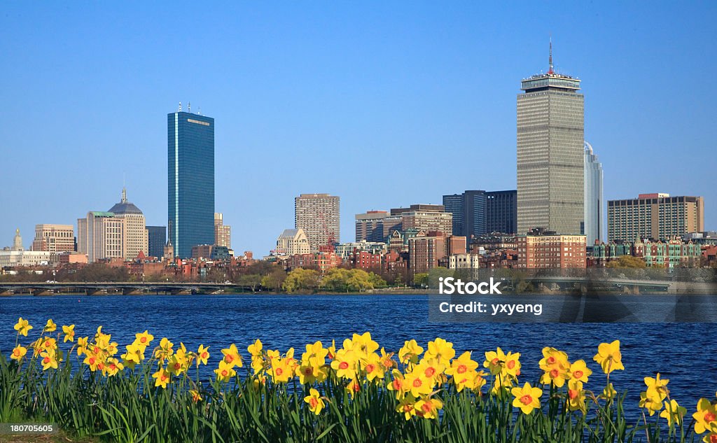 Primavera a Boston - Foto stock royalty-free di Primavera