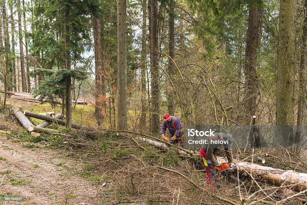 Forstwirtschaft Arbeiter mit Kettensäge - Lizenzfrei Kettensäge Stock-Foto