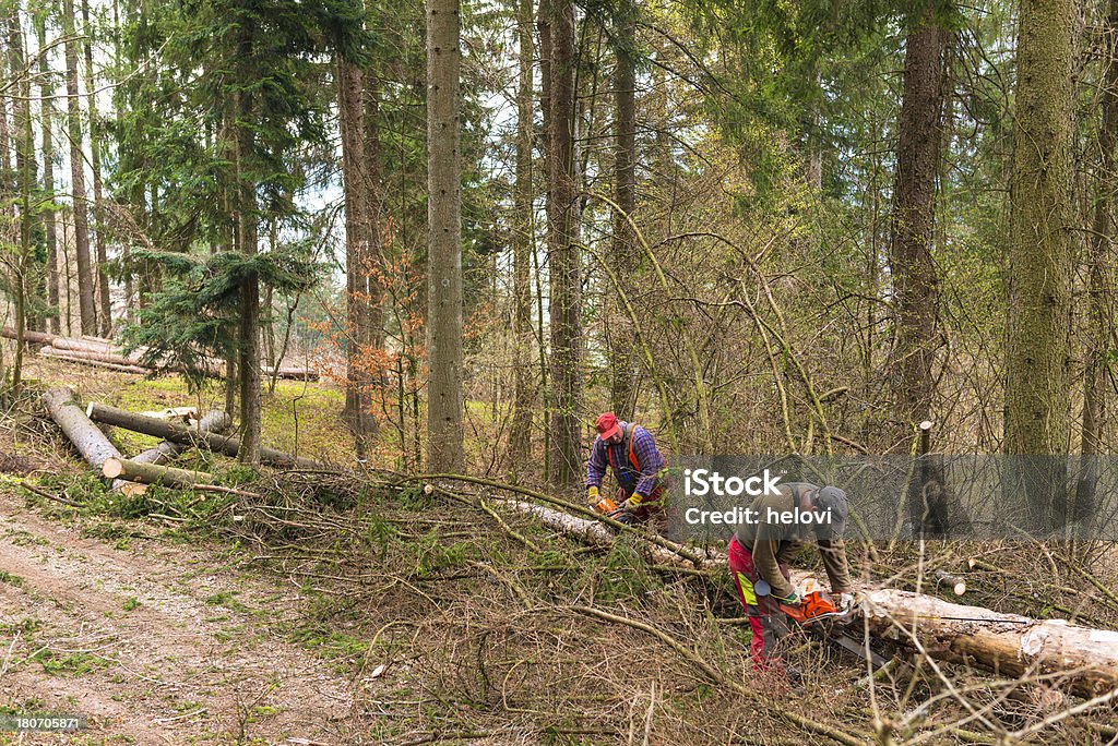 Forestry рабочий с Бензопила - Стоковые фото Бензопила роялти-фри