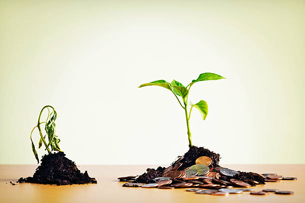 istock Without money, nothing flourishes! 180705999