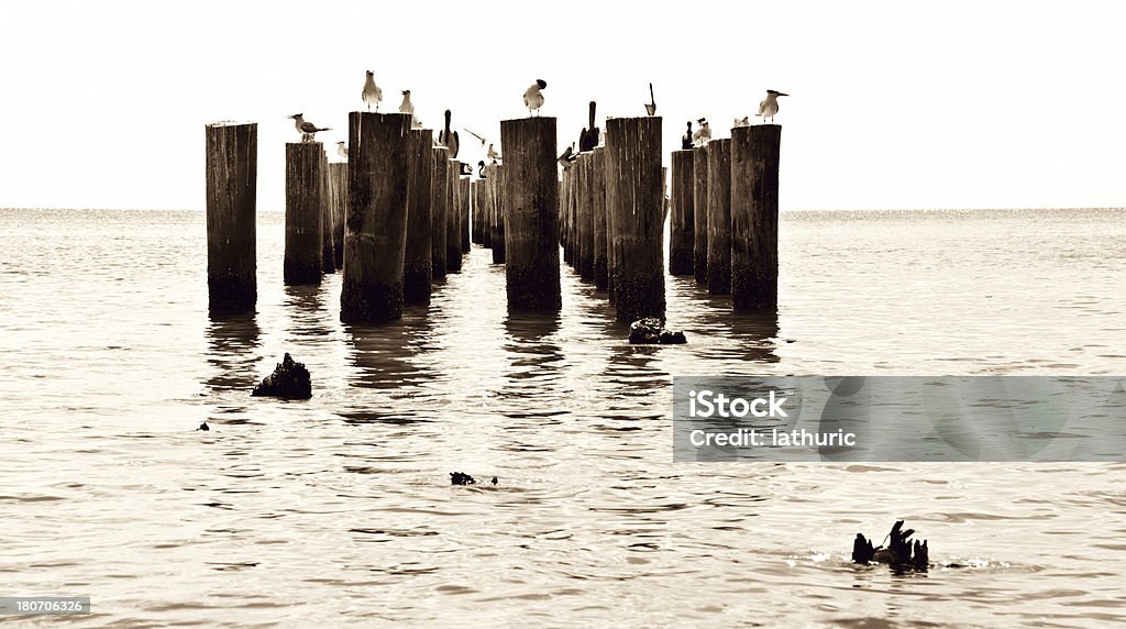 Pier - Foto de stock de Fileira royalty-free