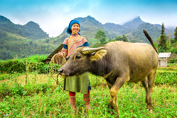 istock Woman in North Vietnam 180706807