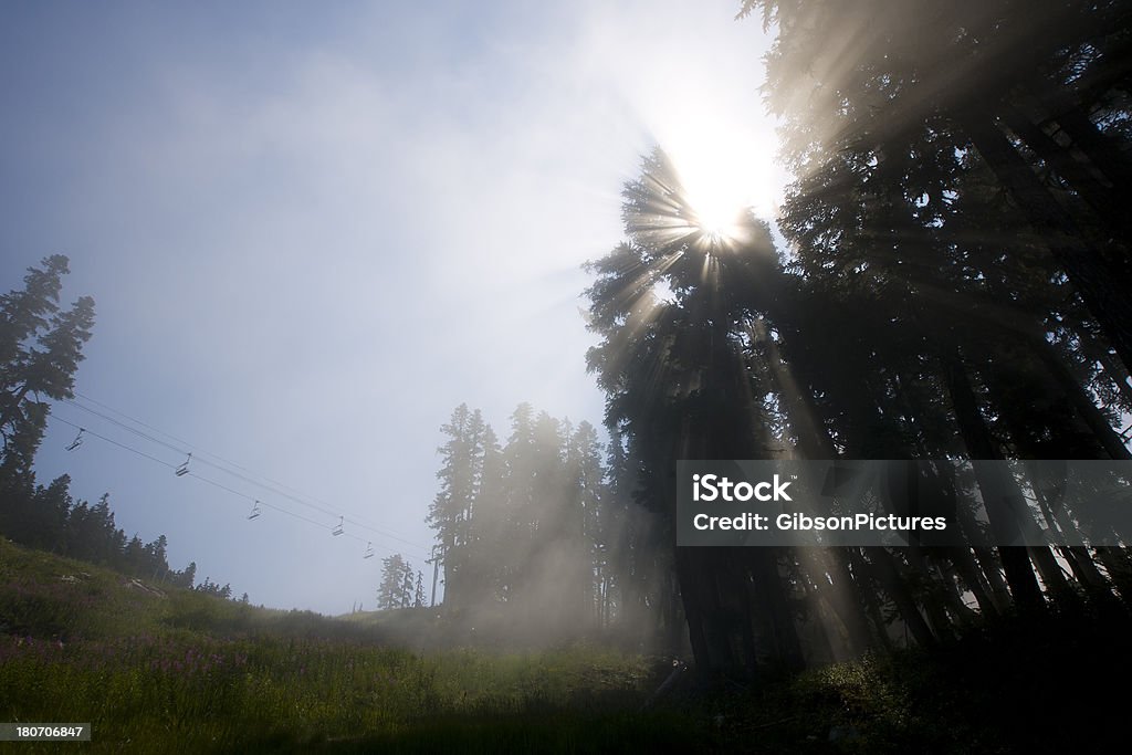 O nevoeiro matinal no Bike Park Whistler - Foto de stock de Azul royalty-free