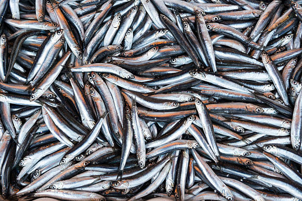 istock Fresh fish in market in Istanbul, Turkey 180706870