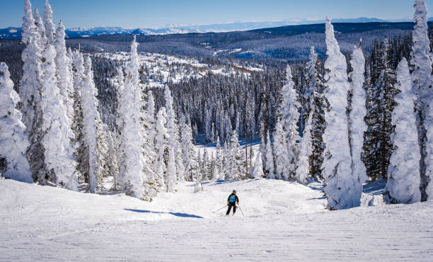 istock View of man with blue backpack skiing down ski slope edged by pine trees covered by thick layer of snow after snowfall 1807068852