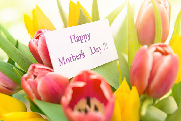 istock mix of tulips for mother's day 180707533