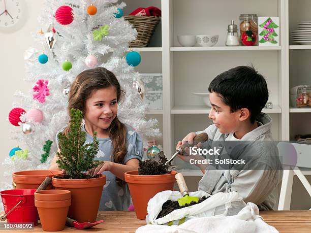 Junge Kinder Eintopfen Pflanzen Stockfoto und mehr Bilder von Baum - Baum, Blumentopf, Bruder