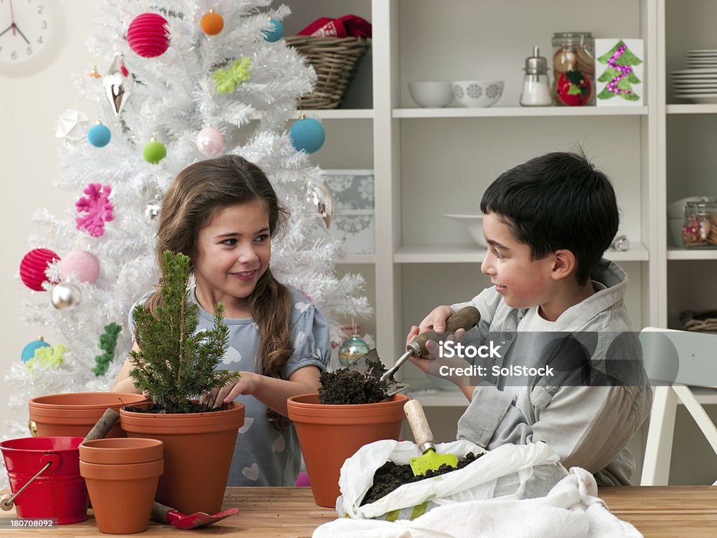 Crianças pequenas plantas Colocar Planta em Vaso - Royalty-free 30-39 Anos Foto de stock