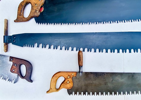 Horizontal flat lay of several metal and wood handle old fashion hand tree cutting saws in country Australia