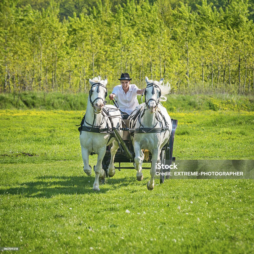 Cavalos de corrida - Royalty-free Andaluzia Foto de stock