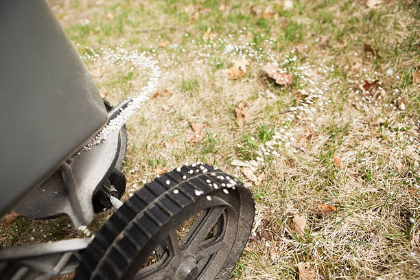 Broadcast Spreader Applying Fertilizer to Grass "A walk-behind broadcast spreader is applying fertilizer to grass. Focus is on the lower wheel area, the grass is slightly soft. With the brown grass and dried leaves, this would make a good pre-emergent weed prevention or fall winterizer concepts." apply fertilizer stock pictures, royalty-free photos & images