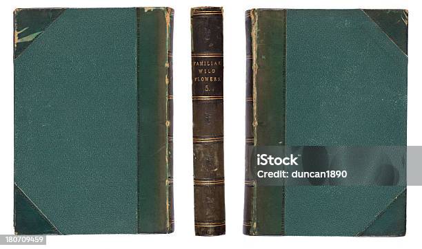 Libro Antico - Fotografie stock e altre immagini di Copertina di libro - Copertina di libro, Materiale di pelle animale, Libro