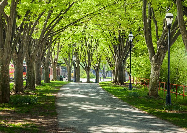 Spring Time along the Heritage Rail Trail County Park