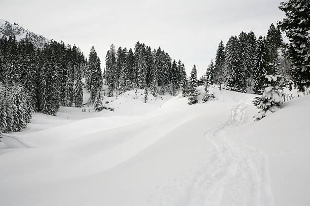 La nieve - foto de stock