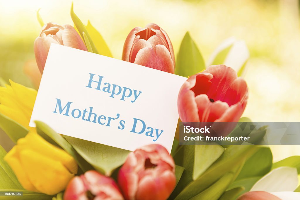 Mieszanka Tulipany dla matki dzień - Zbiór zdjęć royalty-free (Bez ludzi)