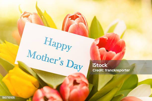 Mieszanka Tulipany Dla Matki Dzień - zdjęcia stockowe i więcej obrazów Bez ludzi - Bez ludzi, Bliskie zbliżenie, Bukiet