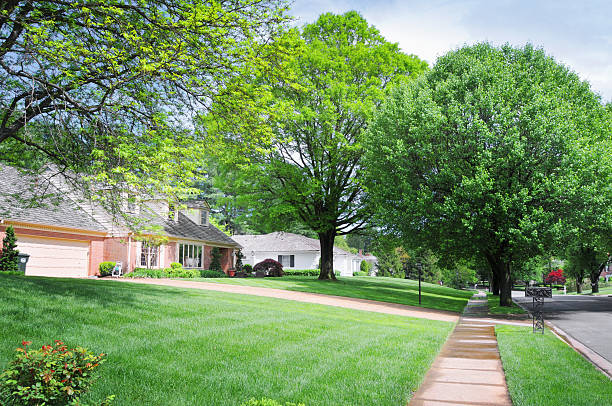 istock American Suburb with Houses and pavement 180710261