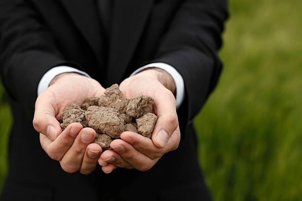 Замульчируйте грядки: поливать придется реже