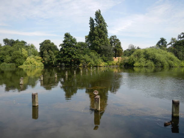 istock Hyde park in London city, England, UK 1807105508
