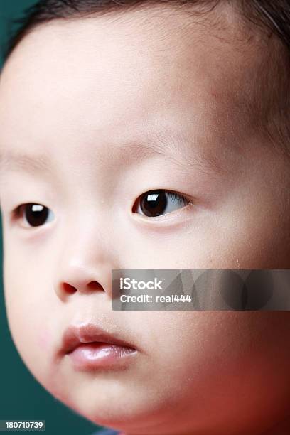 귀여운 아기 아시아판 12-17 개월에 대한 스톡 사진 및 기타 이미지 - 12-17 개월, 12-23 개월, 가족