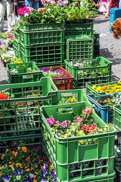 istock Seedling boxes with plants, flower market 180710856