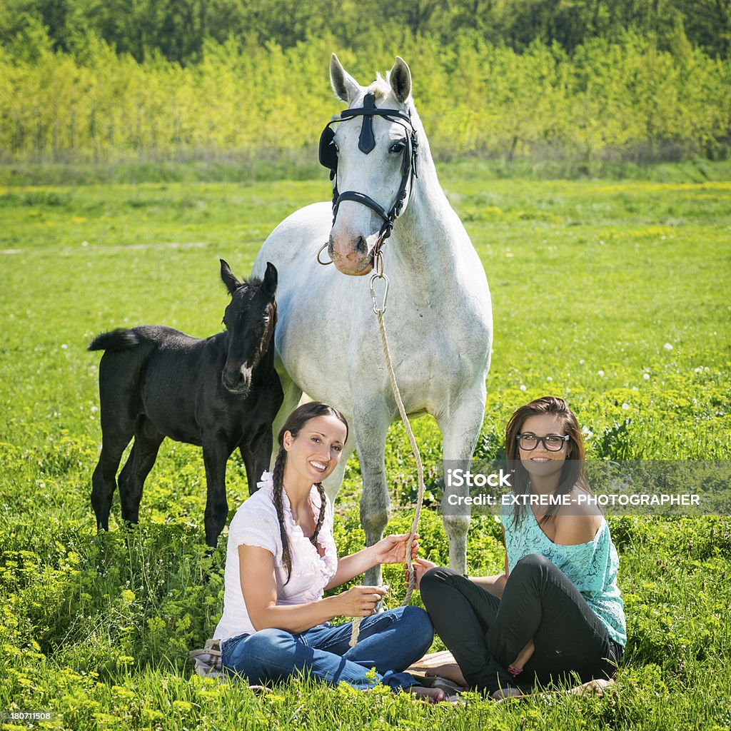 As fêmeas e cavalos - Foto de stock de Adulto royalty-free