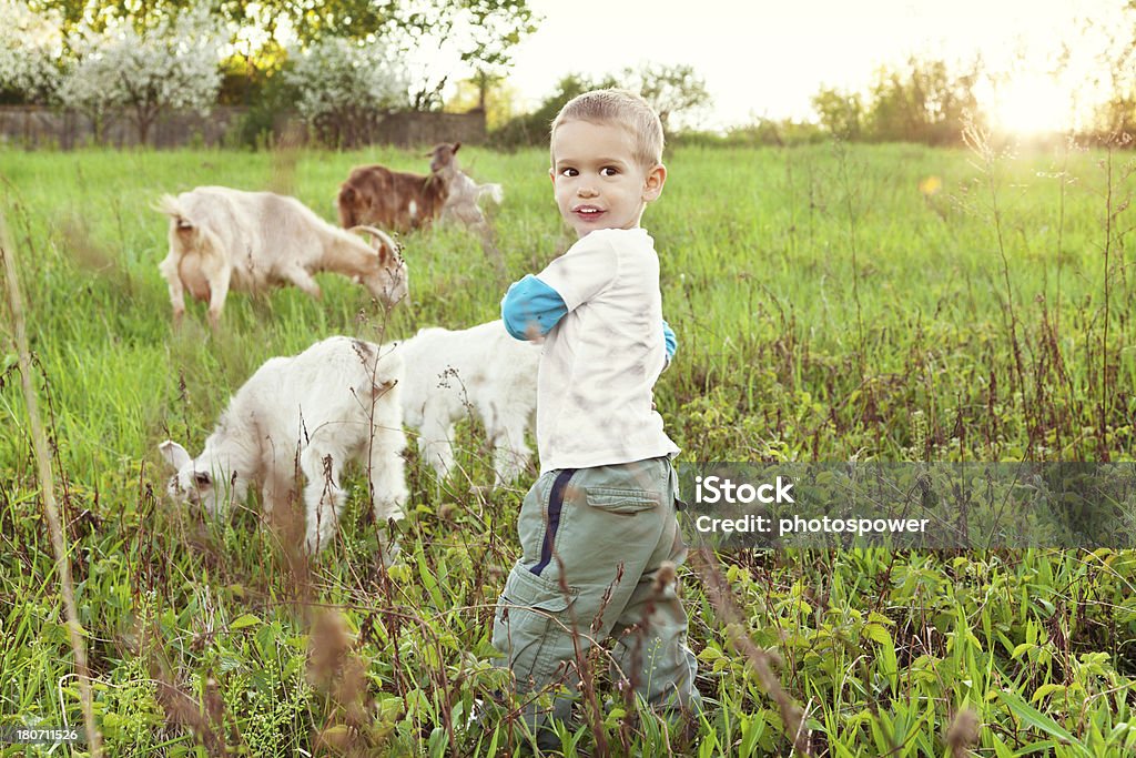 Ragazzo con le capre - Foto stock royalty-free di Bambino