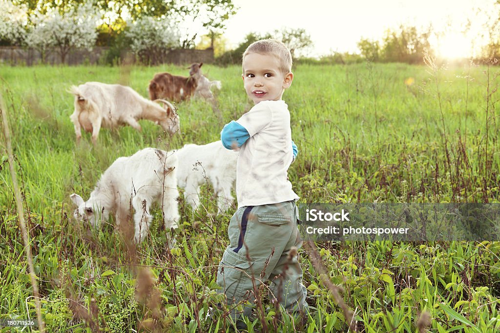 Мальчик с козьим - Стоковые фото Домашняя коза роялти-фри