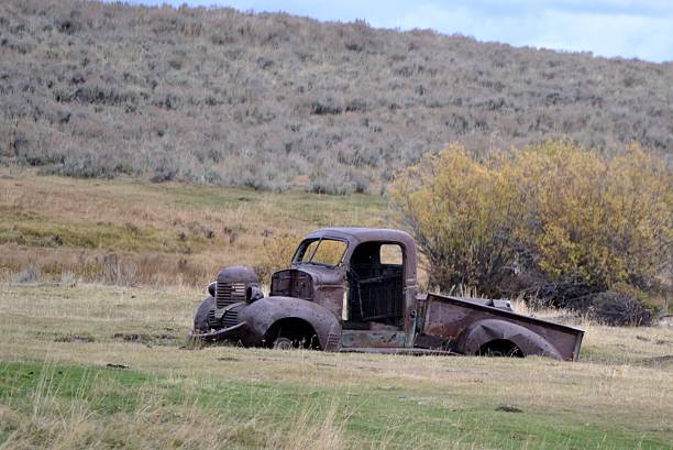 Pastured Truck. stock photo