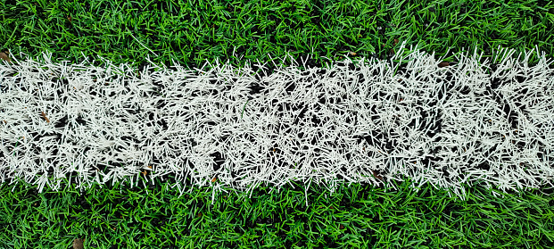 White marking line on a green sports field. Close-up, top view.
