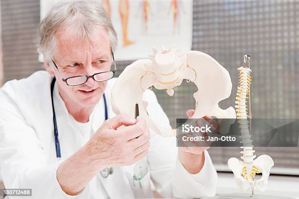 Doctor Demonstrating Pelvis Stock Photo - Download Image Now - 50-59 Years, Adult, Adults Only
