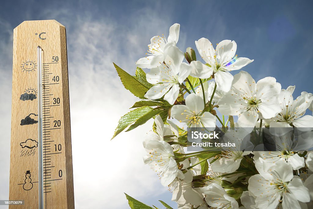 Thermometer beautiful heat spring day on the thermometer Beauty In Nature Stock Photo