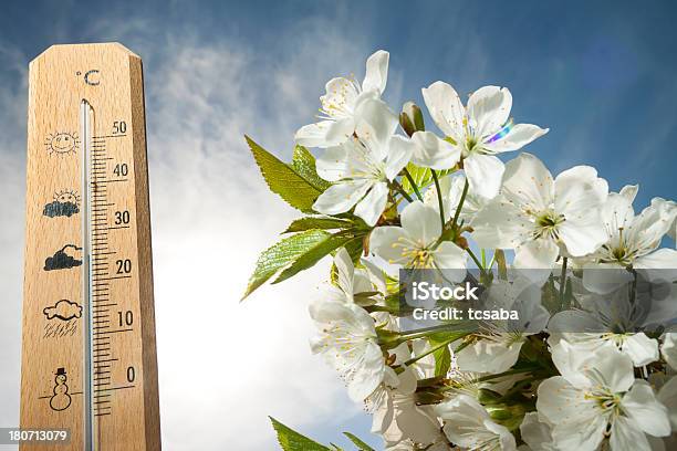 Thermometer Stock Photo - Download Image Now - Beauty In Nature, Blossom, Bud