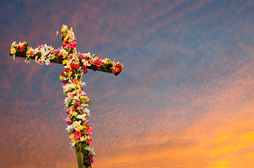 An Easter Cross has been decorated with flowers and glows in the morning light during a Sunrise Service.