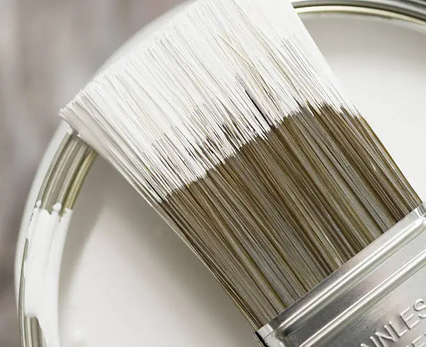 Photo of Paintbrush Detail