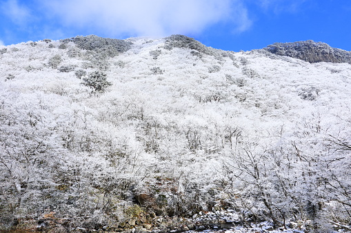 It is a winter mountain landscape with beautiful snowy scenery.