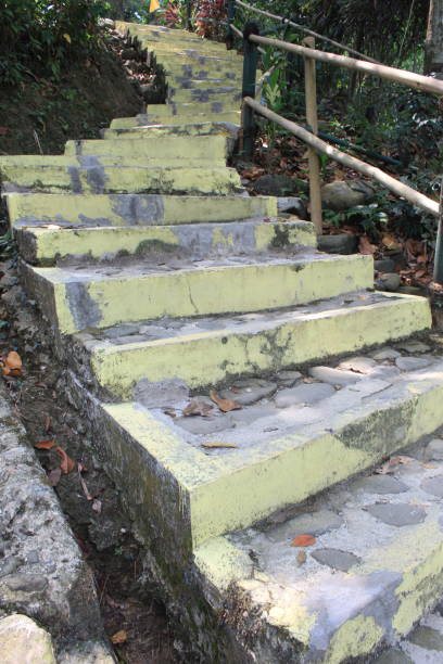 istock Old stairs made of concrete and located in a forest 1807138064