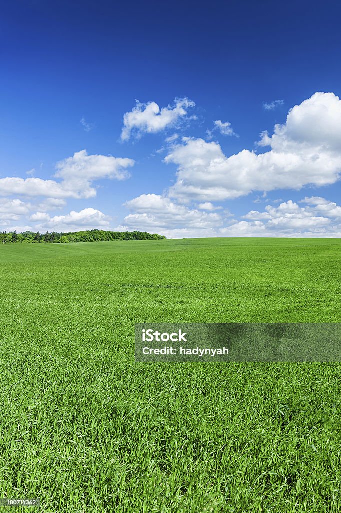 Panorâmica Paisagem de Primavera 41MPix XXXXL-Campo Verde e céu azul - Royalty-free Ajardinado Foto de stock