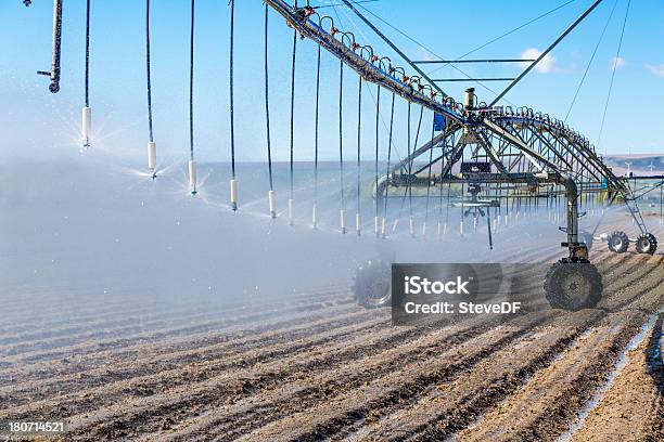 Sistema Di Irrigazione Con Pivot - Fotografie stock e altre immagini di Agricoltura - Agricoltura, Ambientazione esterna, Attrezzatura per l'irrigazione