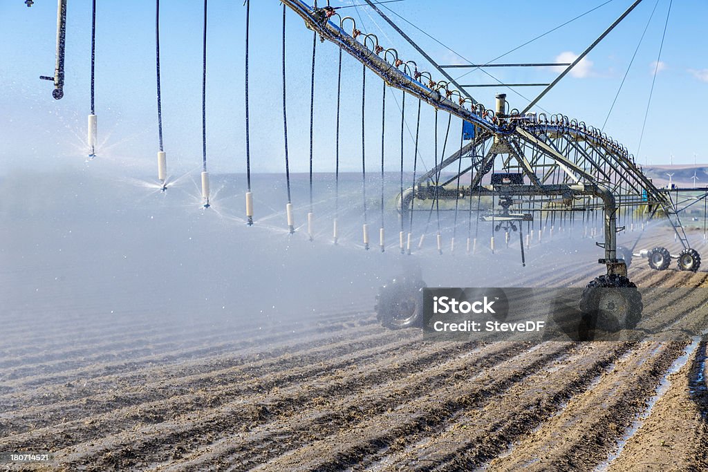 Sistema de Irrigação com pivô - Royalty-free Agricultura Foto de stock
