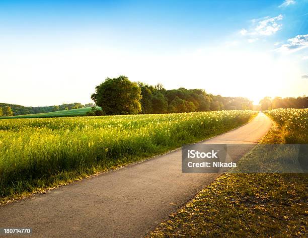 Green Field On A Sunny Day Stock Photo - Download Image Now - Road, Country Road, Sunrise - Dawn