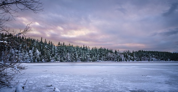 As dusk settles in, the sky over a frozen lakeside is painted with soft hues of pink and purple, casting a tranquil mood over the snowy landscape. The evergreen forest stands quietly in the background, its trees frosted with snow, embodying the peaceful solitude of a winter evening. This image is perfect for those looking to convey the serene beauty of the colder seasons.