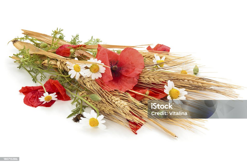 Wheat and flowers. Wheat and flowers. Isolated on white. Agriculture Stock Photo