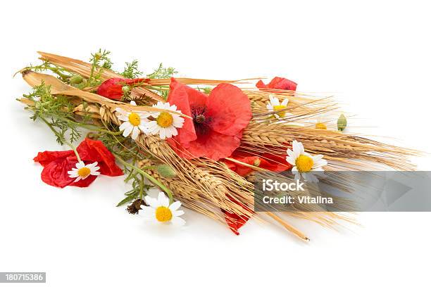 Wheat And Flowers Stock Photo - Download Image Now - Agriculture, Arrangement, Autumn